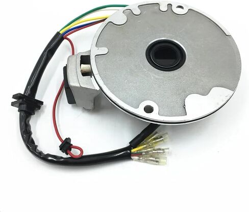 2 COIL MAGNETO STATOR PLATE FOR 70CC 90CC 110CC 125CC DIRT BIKE JH70 in Saudi Arabia