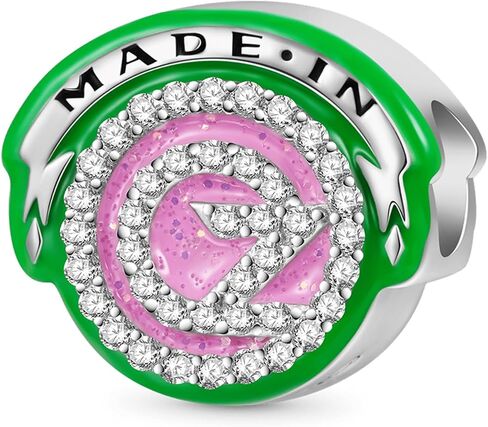 GNOCE Wicked OZ Logo Glow-in-the-Dark Charm Bracelet for Women, S925 Sterling Silver Dangle Charms for Women Wife, Valentine‘s Day, Mother’s Day Jewelry in Saudi Arabia