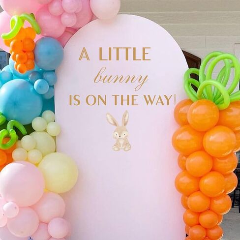 A Berry Sweet Baby Girl is on The Way Decal-Baby Shower Party Decorations,Berry Sweet Fruit Themed Children's First Birthday Party Supplies (red A Berry Sweet Baby) in Saudi Arabia
