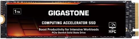 Gigastone M.2 SSD 500GB PS5 SSD with Heatsink PCIe 4 NVMe M.2 SSD up to 5,000MB/s Internal SSD PS5 Heat Dissipation Gaming PC Desktop Laptop Storage for Fast Game Load Video Editing 3D Creators in Saudi Arabia