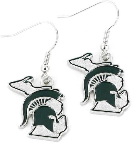 Aminco NCAA Nebraska Cornhuskers Home State Design Earrings in Saudi Arabia