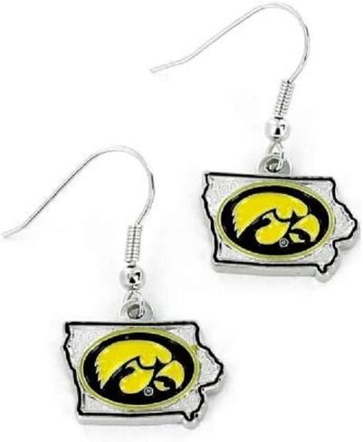 Aminco NCAA Nebraska Cornhuskers Home State Design Earrings in Saudi Arabia
