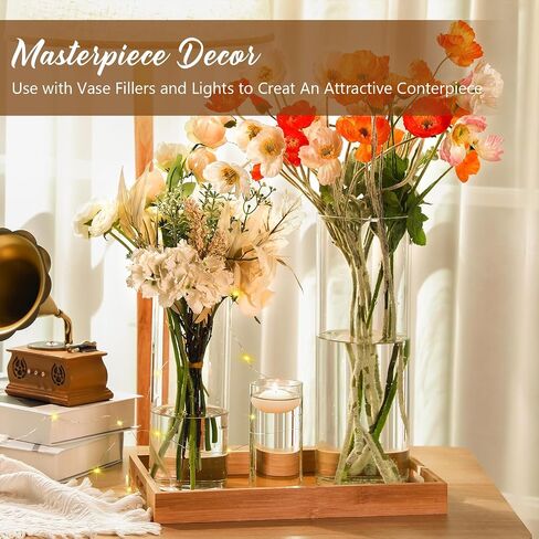 48 Pcs Glass Cylinder Vase Bulk Clear Different Sizes Candle Holder Decorative Centerpiece for Wedding Reception Home Flowers Modern Serene Spaces Living Glass Vases (4'', 6'', 8'' High) in Saudi Arabia