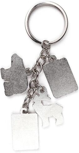 Westmon Works Colorado Keychain with Charms Metal Key Ring Souvenir of the Centennial State in Saudi Arabia