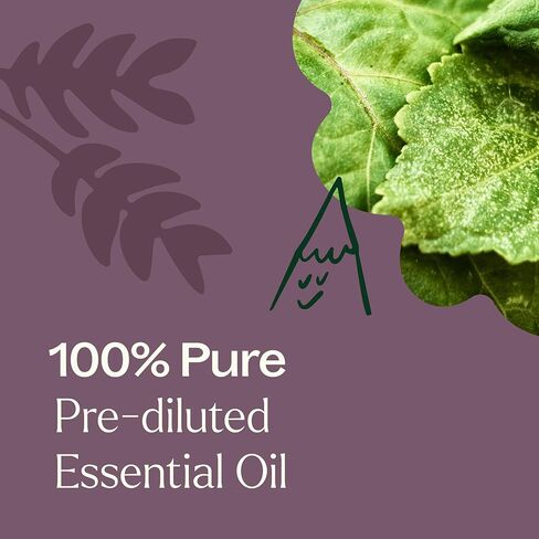 Plant Therapy Aged Dark Patchouli Essential Oil Roll-On 10 mL (1/3 oz) Pre-Diluted in Fractionated Coconut Oil, Long-Lasting, Personal Fragrance,100% Pure, Natural, Expertly Aged for Depth, Rich Aroma in Saudi Arabia