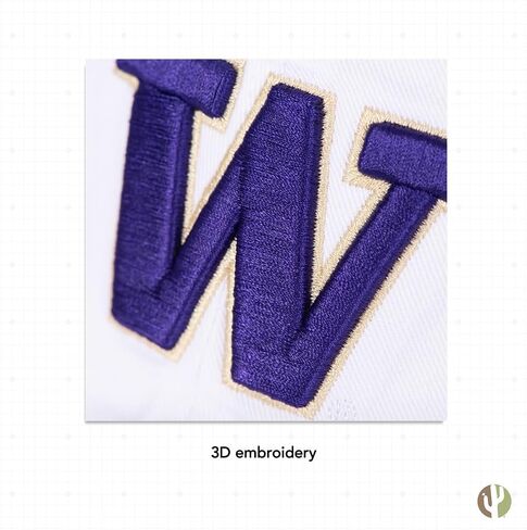 صبار الصحراء، جامعة واشنطن، قبعة بيسبول U of W UW Huskies، قبعات هاسكي ذات حواف مطرزة، قبعة قابلة للتعديل، حزام قماش للبالغين (نمط A1) أرجواني in Saudi Arabia