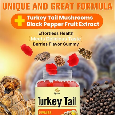 Turkey Tail Mushroom, Turkey Tail (100% Fruiting Body, 40% Beta Glucans) add Black Pepper, Mushroom Gummies for Gut, Energy, Brain & Immune Support, Mixed Berries Flavor | Vegan, Non-GMO, 60ct in Saudi Arabia
