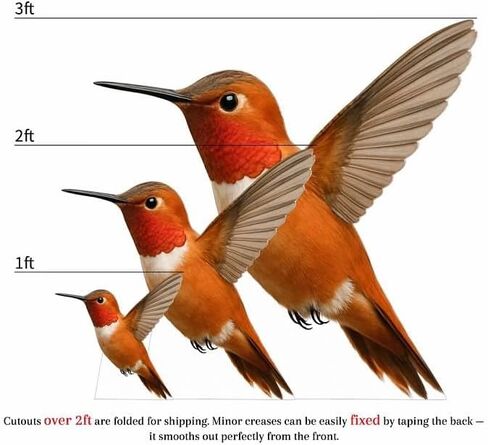 Hummingbird Cardboard Cutout – 1FT Realistic Hummingbird Standee for Parties, Events & Nature Displays, Style 2, 1PC in Kuwait