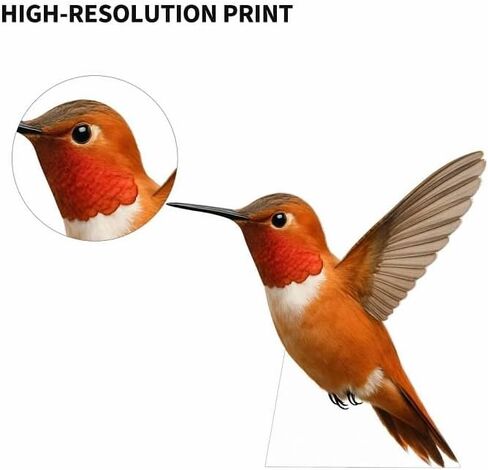 Hummingbird Cardboard Cutout – 1FT Realistic Hummingbird Standee for Parties, Events & Nature Displays, Style 2, 1PC in Kuwait
