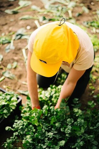 Chamisa Sun Hat, Lightweight Nylon 5 Panel Cap with Hide-able Neck Shade and Spring Cord in Kuwait