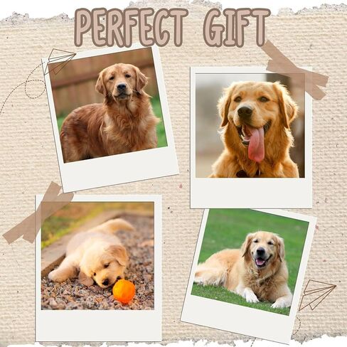 هدايا Innobeta Golden Retriever للنساء والرجال ، والهدايا للكلاب أمي الكلب أبي في عيد الميلاد وعيد الميلاد ، وجوارب طاقم واحدة الحجم in Saudi Arabia