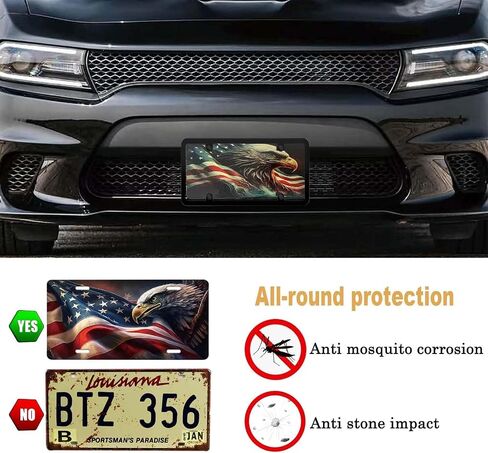 2 Pack Clear License Plate Covers and Frames Combo, Car License Plates Shields Holder Front Rear Protector with Screws Caps, fits Any US Plates in Saudi Arabia
