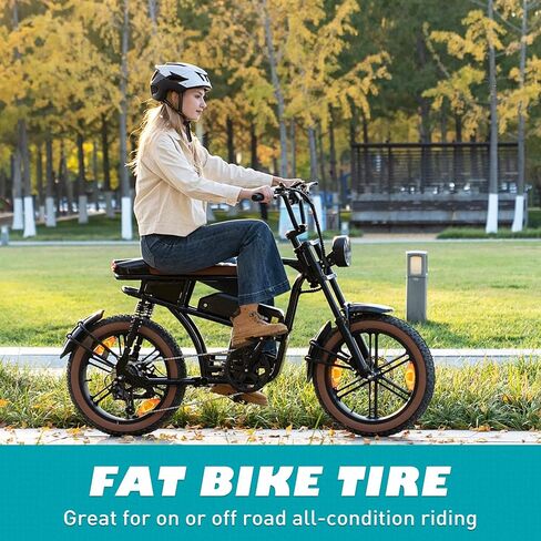 2 Pack Fat Tire for Ebike Mountain Bike Heavy Duty High-Performance Wear-Resistant E-Bike Mountain Snow Bike Tire 20" x 4"，Black，2 Tires 2 Tubes 2 levers in Kuwait
