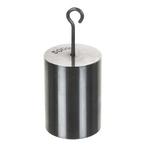 EISCO Double Hooked Weight Stainless Steel 500 Grams (1.10 Lbs.)