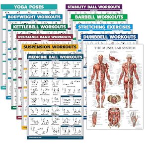 Palace Learning 11 Pack - Exercise Poster Set: Dumbbell, Suspension, Kettlebell, Resistance Bands, Stretching, Bodyweight, Barbell, Yoga, Exercise Ball, Muscular System, Medicine Ball