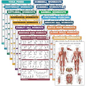 Palace Learning 17 Pack - Exercise Poster Set: Dumbbell, Suspension, Kettlebell, Muscular, Medicine Ball, Battle Rope, Resistance Bands, Stretching, Bodyweight, Barbell, Yoga and More