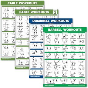 4 Pack - Cable Machine Workout Posters Volume 1 & 2 + Dumbbell Exercises + Barbell Exercises (LAMINATED, 18" x 24")
