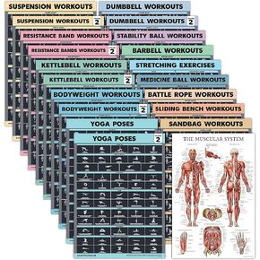 20 Pack - Exercise Poster Set: Dumbbell, Suspension, Battle Rope, Stretching, Bodyweight, Barbell, Yoga, Exercise Ball, Muscular, Kettlebell, Resistance Bands and More [Dark] (LAMINATED, 18" x 24")