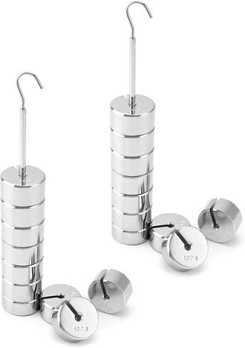 QWORK Lab Slotted Mass Set, Chromium-Plated Metal Slotted Weights, One Set - Total 1000g - Includes 9 Weights (100g Each) & One Hanger (100g) in Saudi Arabia