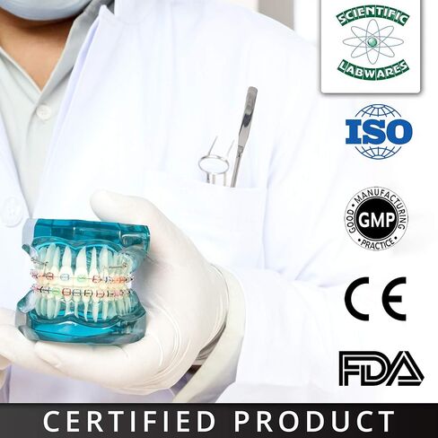 ملعقة مسطحة ذات نهاية مزدوجة من Lab Micro، طرف سهم مستدير/مدبب، أطراف مسطحة 50 مم × 9 مم، طول 7 بوصات، من الفولاذ المقاوم للصدأ in Kuwait