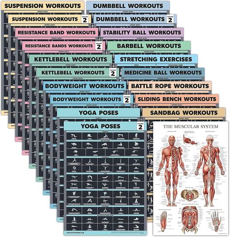 20 Pack - Exercise Poster Set: Dumbbell, Suspension, Battle Rope, Stretching, Bodyweight, Barbell, Yoga, Exercise Ball, Muscular, Kettlebell, Resistance Bands and More [Dark] (LAMINATED, 18" x 24") in Saudi Arabia