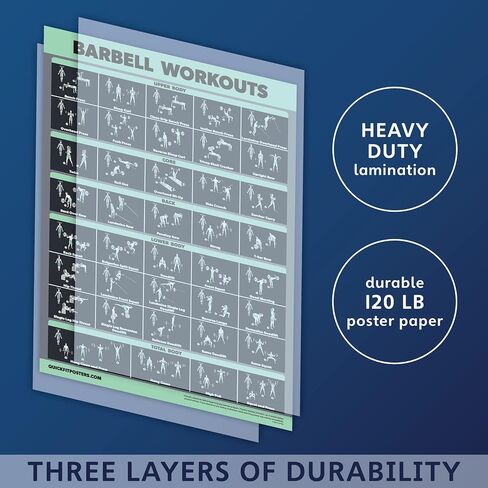20 Pack - Exercise Poster Set: Dumbbell, Suspension, Battle Rope, Stretching, Bodyweight, Barbell, Yoga, Exercise Ball, Muscular, Kettlebell, Resistance Bands and More [Dark] (LAMINATED, 18" x 24") in Saudi Arabia