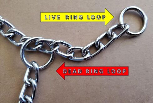 Chain Choke Collar for Dogs, Metal Slip Link Training Heavy Duty Dog Choker Collar Martingale Puppy Collars for XS Small Medium Large Big XL Breed Dogs (Silver, L(Neck Max 20inch) D3.5mm) in Saudi Arabia