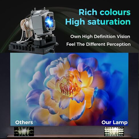 1026952/NP34LP/BL-FU260B/SP.72701GC01 لمبة مصباح بروجيكتور بديلة مع مبيت لـ SMARTBOARD U100 U100W NEC NP-U321Hi-TM NP-U321Hi-WK NP-U321H-WK/U322Hi OPTOMA EH319USTi EH320USTi X320USTi in Kuwait