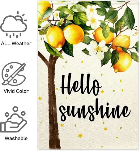 ChloropLastid Hello Summer Garden Flag 12 x 18 Inch Watermelon Strawberry Popsicles Ice Cream Double Sided Decorative Outdoor Yard Flag Small Seasonal Outside House Decoration in Kuwait