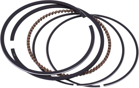 66mm Pin 16mm Height 47mm Standard 200CC Motorcycle Engine 1 Cylinder Piston Rings Kit FOR Suzuki DR200 DF200 GS200 GS DF DR 200 (Color : STD ring) in Kuwait
