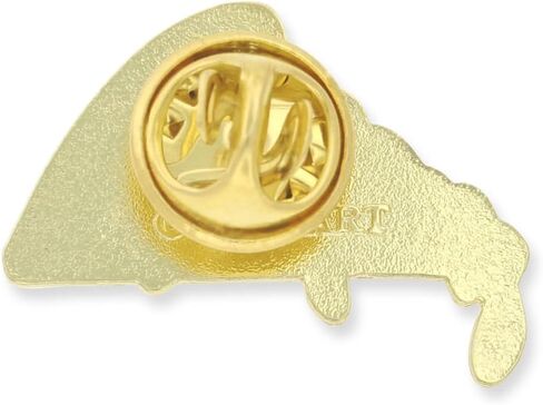 Pinmart Food Monamel Lapel Pin in Kuwait