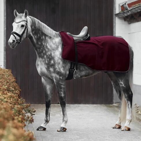 HORZE Kiel Riding Blanket with Fleece - Black - 78 in in Kuwait