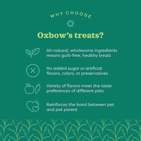 Oxbow Simple Rewards Strawberry Small Animal Treat 0.5 oz (Pack of 2) in Saudi Arabia