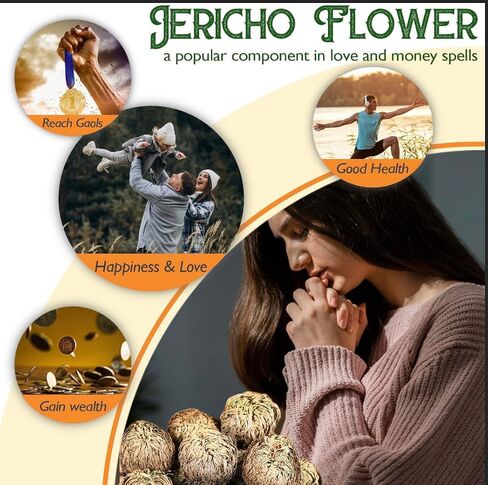 14-Pack Dried Rose of Jericho, Selaginella Resurrection Grass, Dried Fern Scale Leaf Prayer Plant, Symbol of Abundance and Prosperity, Ideal for Home Decoration and Spiritual Healing in Saudi Arabia