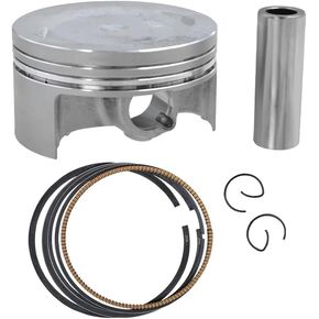 Motorcycle Parts Size 74mm~75mm Piston Ring Fit For YBR250 XG250 TRICKER YFM25R Raptor250 XT250 Serow YS250(Oversize100(75mm)) in Saudi Arabia