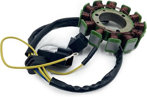 500 500cc J500 ATV Magnetic Generator Stator Coil 192MR-1001410 in Saudi Arabia