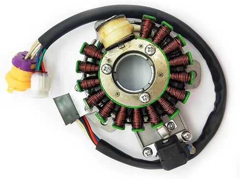 JS250 250cc stator ATV250-5 رباعي المغناطيسية لفائف 12V 16 لفائف in Saudi Arabia