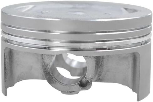 Motorcycle Parts Size 74mm~75mm Piston Ring Fit For YBR250 XG250 TRICKER YFM25R Raptor250 XT250 Serow YS250(Oversize100(75mm)) in Saudi Arabia