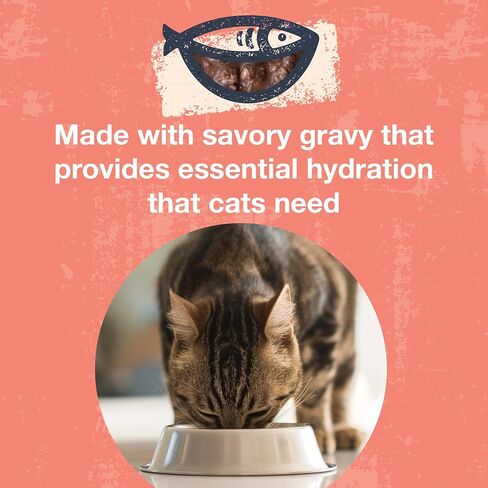 KOHA Poké Bowl Cat Variety Pack, Wet Cat Food in Gravy - 7 Flavors - Tuna Combinations of Salmon, Chicken, Lamb, Duck, Shrimp, and More - 3 oz Pouches, Pack of 12 in Kuwait