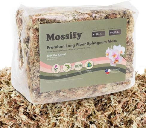 Mossify Premium Sphagnum Moss for Plants 500g, 1.1 lbs - Moss for Plants Indoor & Outdoor – Moisture Retaining & Long Lasting – Ideal Sphagnum Moss for Reptiles, Terrariums, & Gardening, Clean Habitat in Kuwait