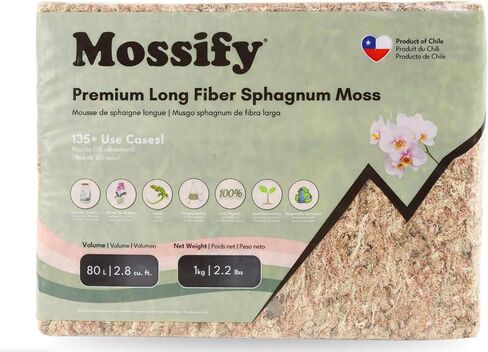 Mossify Premium Sphagnum Moss for Plants 500g, 1.1 lbs - Moss for Plants Indoor & Outdoor – Moisture Retaining & Long Lasting – Ideal Sphagnum Moss for Reptiles, Terrariums, & Gardening, Clean Habitat in Kuwait