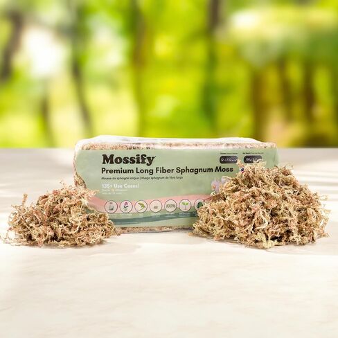 Mossify Premium Sphagnum Moss for Plants 500g, 1.1 lbs - Moss for Plants Indoor & Outdoor – Moisture Retaining & Long Lasting – Ideal Sphagnum Moss for Reptiles, Terrariums, & Gardening, Clean Habitat in Kuwait