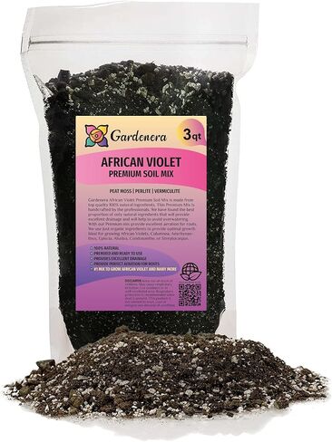 Premium Natural Spanish Moss | Natural Preserved - Great Ground Cover - Filler for Potted Plants - 4 Quart Bag in Saudi Arabia