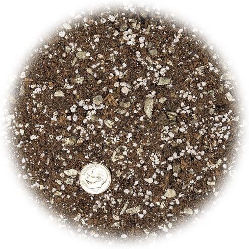 Premium Natural Spanish Moss | Natural Preserved - Great Ground Cover - Filler for Potted Plants - 4 Quart Bag in Saudi Arabia