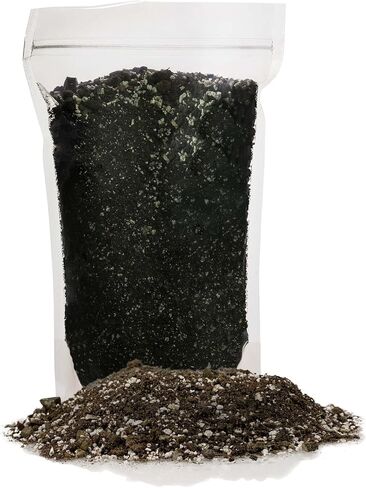 Premium Natural Spanish Moss | Natural Preserved - Great Ground Cover - Filler for Potted Plants - 4 Quart Bag in Saudi Arabia