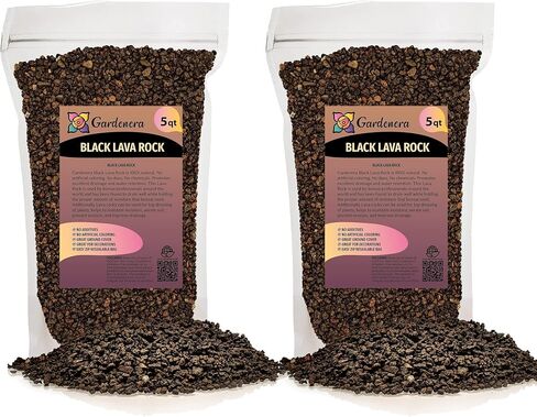 Premium Natural Spanish Moss | Natural Preserved - Great Ground Cover - Filler for Potted Plants - 4 Quart Bag in Saudi Arabia