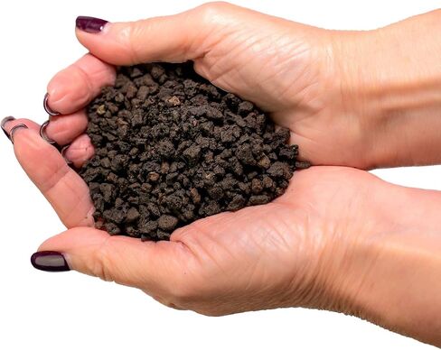 Premium Natural Spanish Moss | Natural Preserved - Great Ground Cover - Filler for Potted Plants - 4 Quart Bag in Saudi Arabia
