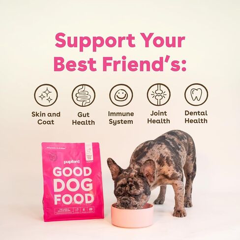 Pupford Good Dog Food, Freeze-Dried Raw, High-Protein, Superfood Ingredients, Vet-Approved, No Fillers or Artificial Additives (Beef Recipe, 25 oz) in Kuwait