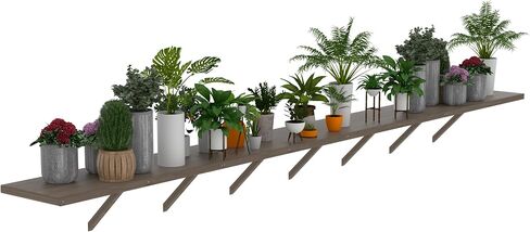 MUPATER 90.67" Wood Shelves Suitable for 6x8 Wood Greenhouse, Large Bearing Capacity, Wall Shelf Storage Floating Shelves for Wooden Greenhouse, Brown (2PCs) in Saudi Arabia