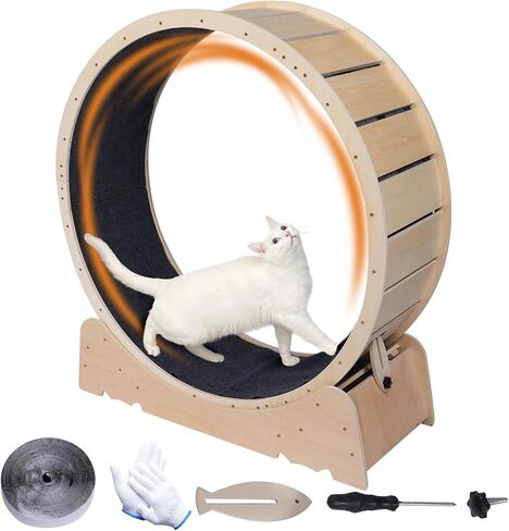 Large Cat Exercise Wheel 40 Inch Treadmill Exerciser for Indoor Cats Love Kitty Running Toy Walking Training for Fitness Weight Loss Device Suitable for Most Cats Physical Exercise Activity in Saudi Arabia